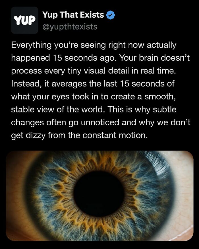 Close-up image of a human eye iris with detailed patterns, illustrating weird things that sound made up but are very real.