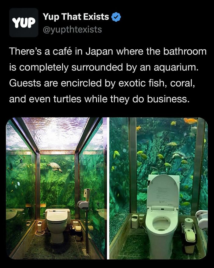 Aquarium-surrounded bathroom in a Japanese café with exotic fish, coral, and turtles visible from all sides.