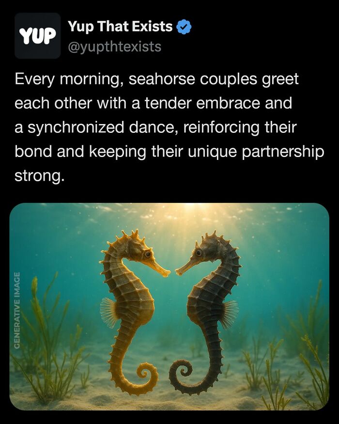 Seahorse couples perform a synchronized dance and embrace underwater, showcasing one of the weird things that sound made up.