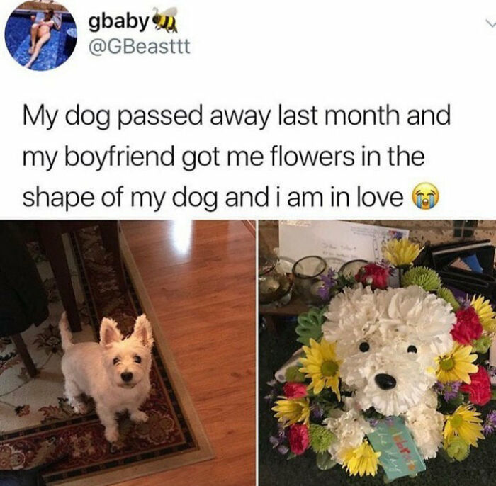 Tweet about boyfriend surprising with dog-shaped flowers after pet passed away, a heartwarming story to brighten your feed.
