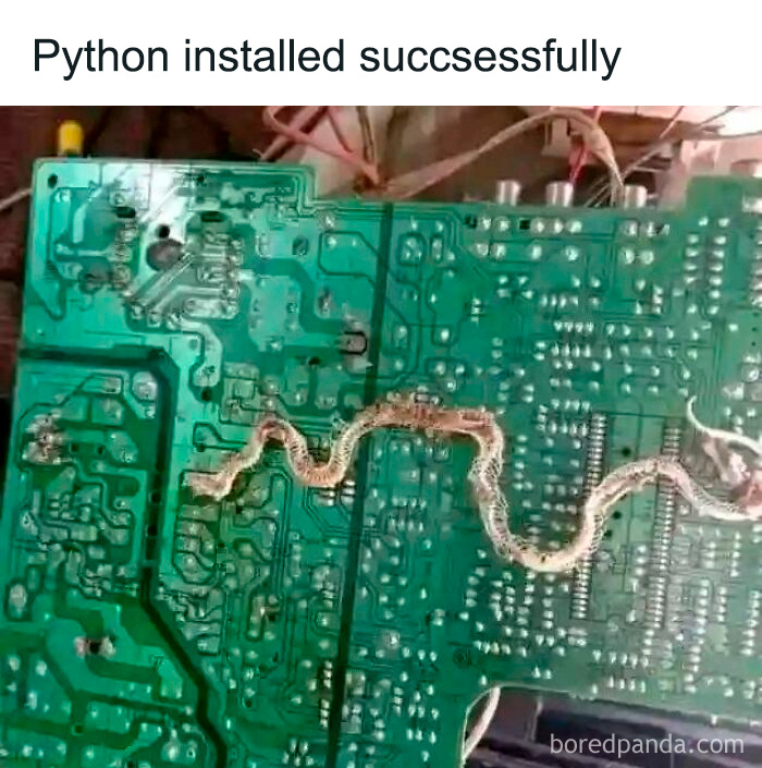 Circuit board humor meme showing a snake on a motherboard with caption about Python installation for programmers.