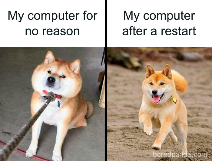 Side-by-side images of a Shiba Inu dog looking stubborn and then happily running, illustrating funny programmer memes about computers.