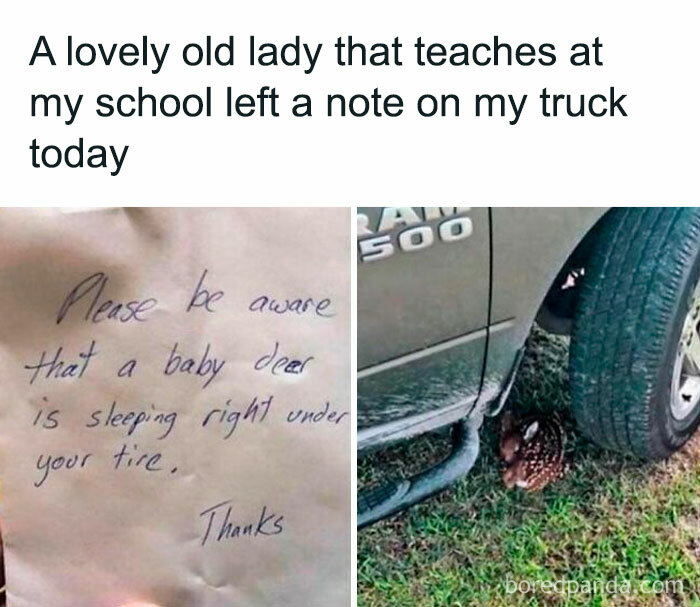 Note from a teacher warns students and young adults that a baby deer is sleeping under a truck tire in a new pic.