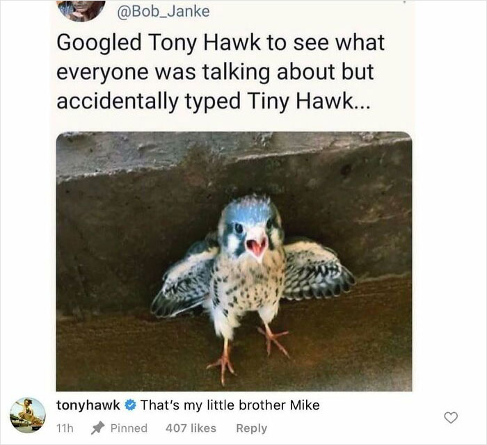 Funny celeb comment on a tiny bird photo showing unexpected gems in celebrity interactions online.