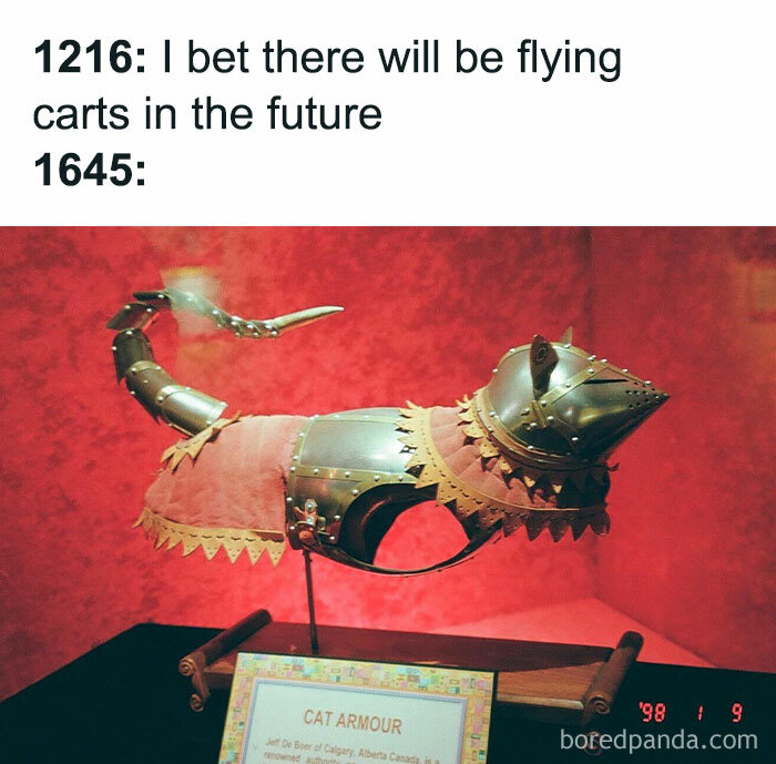 Medieval cats armor displayed on a stand, showcasing human fascination with cats throughout history.