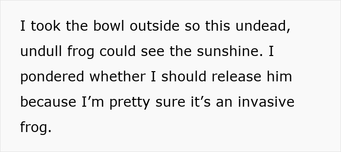 Text showing someone explaining how they took a bowl outside so a rescued frog from the fridge could see the sunshine. Text showing someone explaining how they took a bowl outside so a rescued frog from the fridge could see the sunshine.