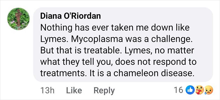 Comment by Diana O'Riordan discussing challenges of Lyme disease and its resistance to treatments as a chameleon disease.