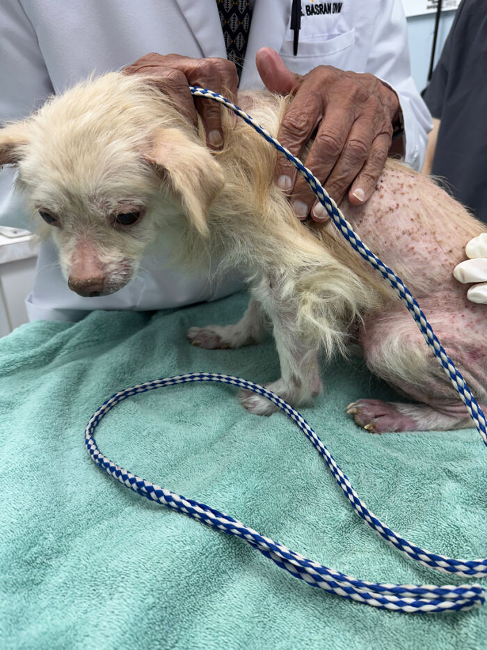 King’s Story: A Lifetime Of Neglect, Now A Fight For Healing King’s Story: A Lifetime Of Neglect, Now A Fight For Healing