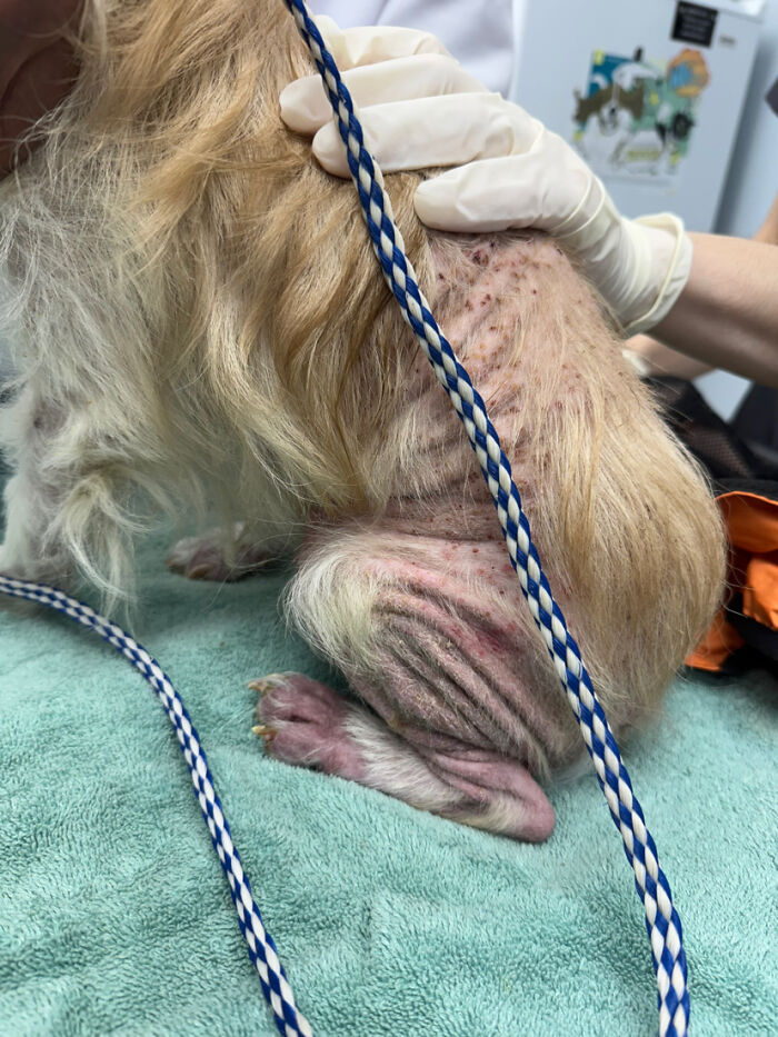 King’s Story: A Lifetime Of Neglect, Now A Fight For Healing King’s Story: A Lifetime Of Neglect, Now A Fight For Healing