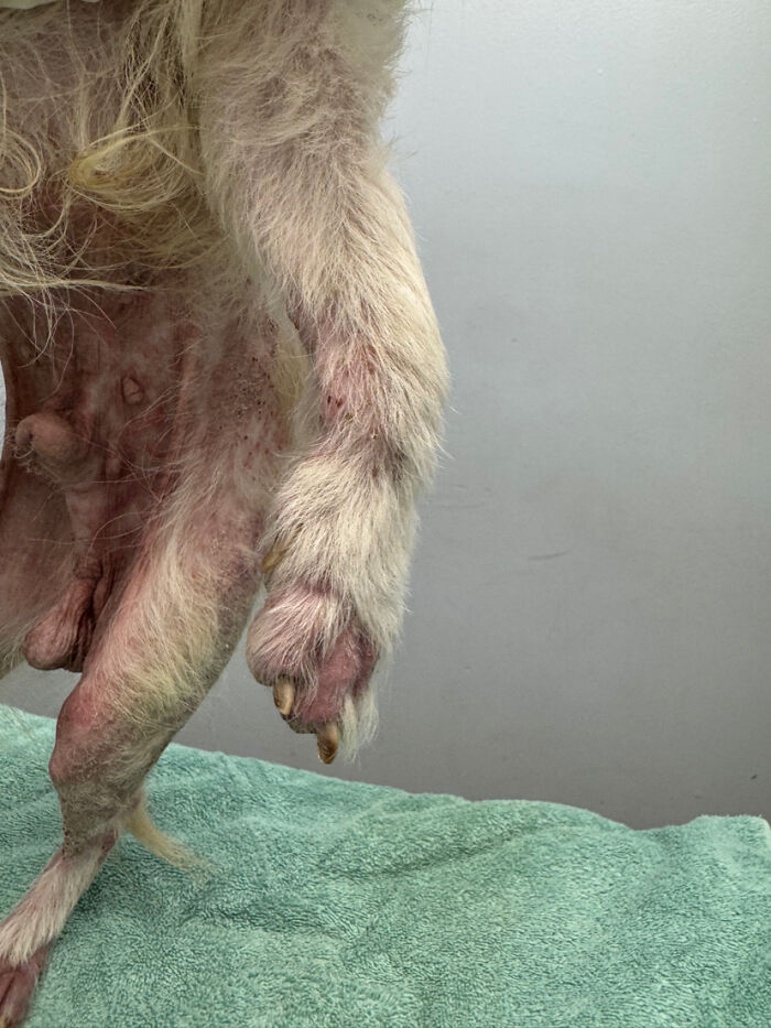 King’s Story: A Lifetime Of Neglect, Now A Fight For Healing King’s Story: A Lifetime Of Neglect, Now A Fight For Healing