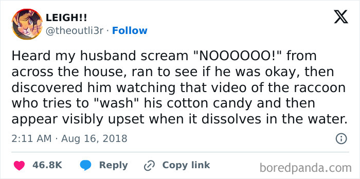 Screenshot of a relatable wholesome relationship meme about a husband upset over a raccoon washing cotton candy.