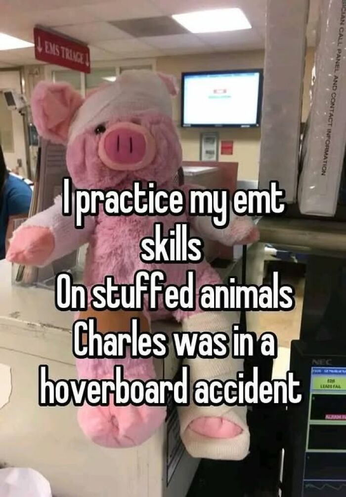 Stuffed pig with bandages in a medical setting, humor related to EMT and paramedic skills practice.