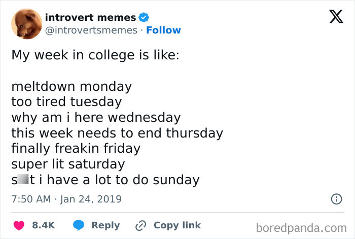 Tweet showing a humorous breakdown of a student’s week, reflecting the best and worst life of young adults.