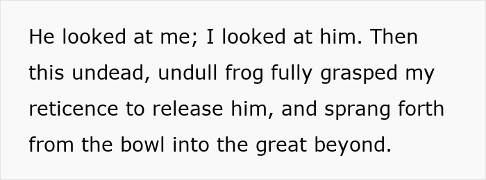 Woman rescuing a frog from her fridge, showcasing kindness that swept the internet and went viral. Woman rescuing a frog from her fridge, showcasing kindness that swept the internet and went viral.