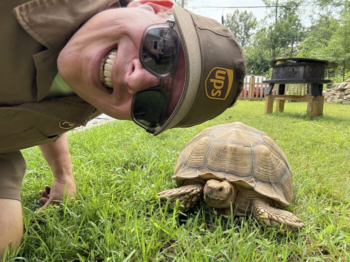UPS driver wearing sunglasses and cap smiling next to an adorable tortoise on green grass outdoors.