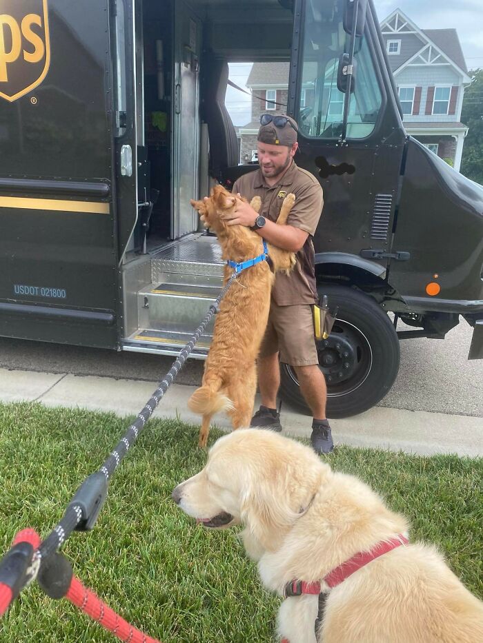 UPS driver happily greeting two friendly dogs during a delivery stop in a suburban neighborhood.