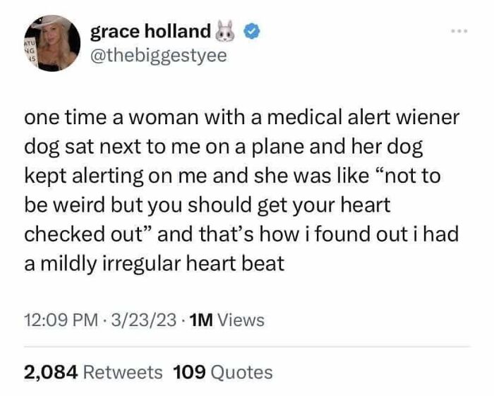 Tweet about a medical alert wiener dog helping discover an irregular heartbeat, featured in wholesome posts.