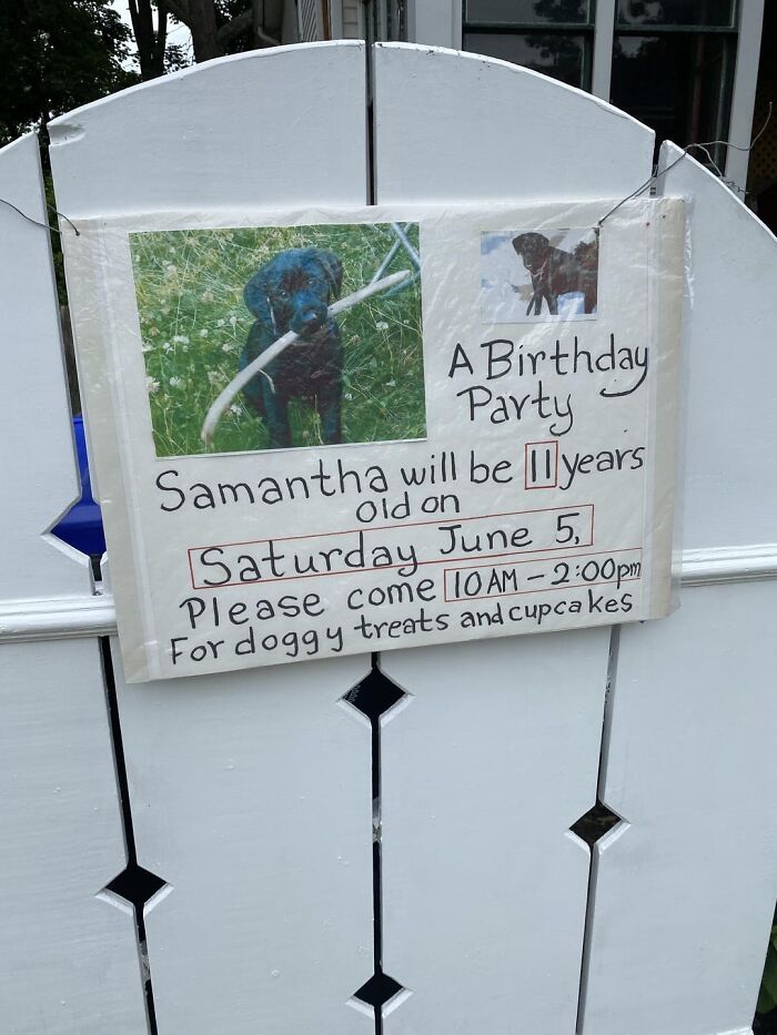 Handwritten birthday party sign for a dog named Samantha with photos, inviting guests for doggy treats and cupcakes.