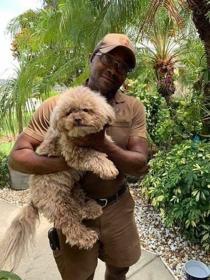 UPS driver holding an adorable fluffy dog outside in a garden with tropical plants on a sunny day.