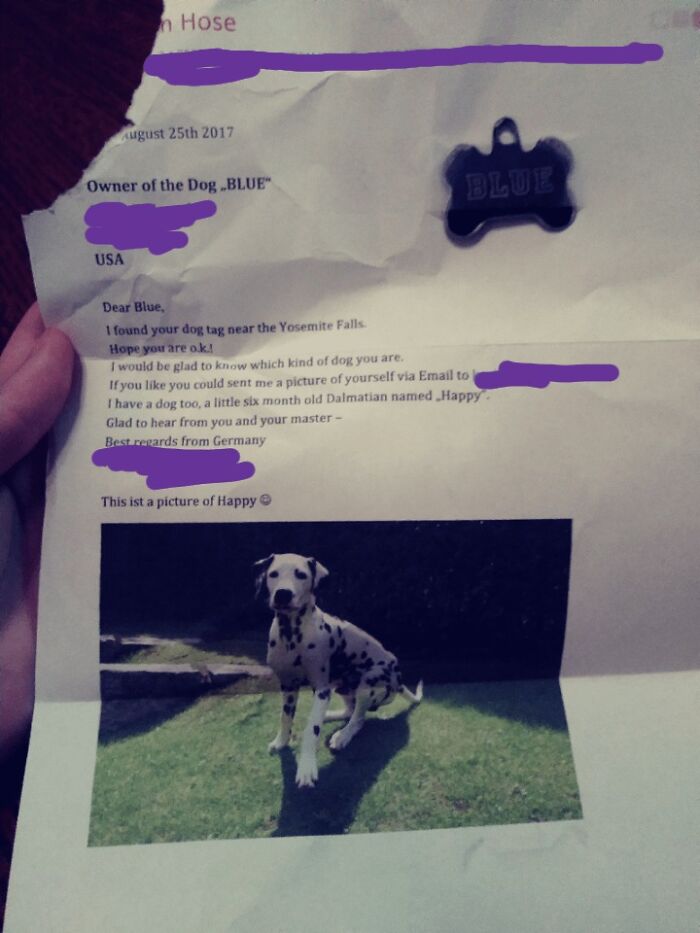 Handwritten letter with photo of a Dalmatian dog, part of wholesome posts to distract from current world horrors.