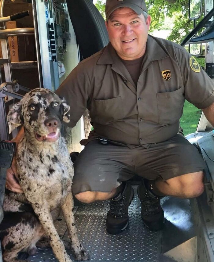 UPS driver kneeling inside delivery truck smiling next to an adorable spotted dog sitting on the floor.