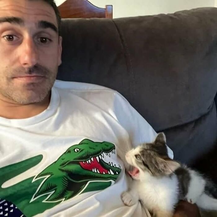 Man wearing a white shirt with a green dinosaur graphic playing with an amazing cat with immaculate aura on a couch.