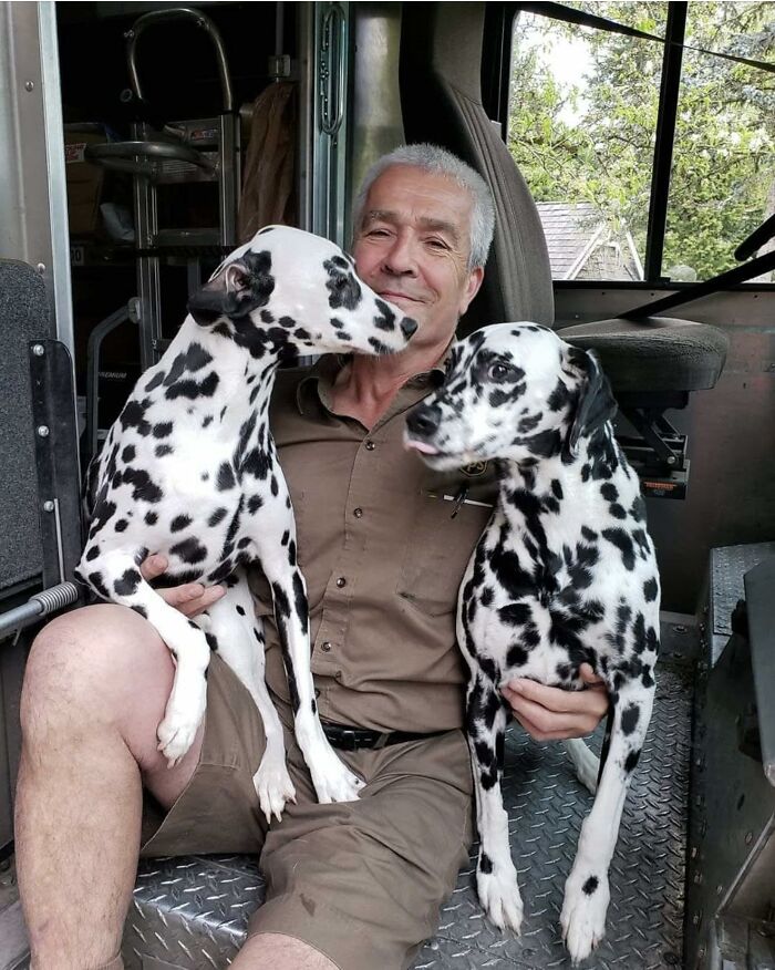 UPS driver sitting inside truck holding two adorable Dalmatian dogs with trees visible through the window behind them