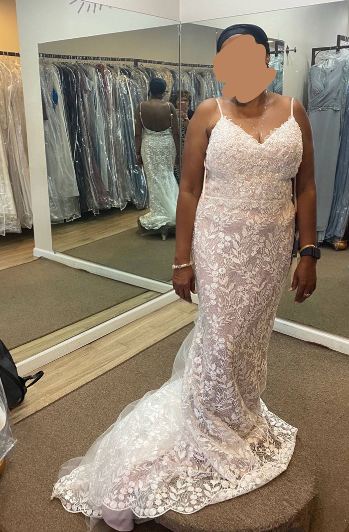 &ldquo;You Think You Can Hurt Me?&rdquo; MIL Decides A Wedding Gown Is A Great Choice For Son's Wedding