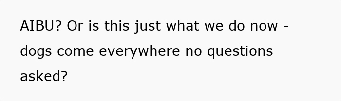 Text asking if dogs are welcome everywhere now with no questions asked, highlighting therapy dog controversy at family BBQ. Text asking if dogs are welcome everywhere now with no questions asked, highlighting therapy dog controversy at family BBQ.