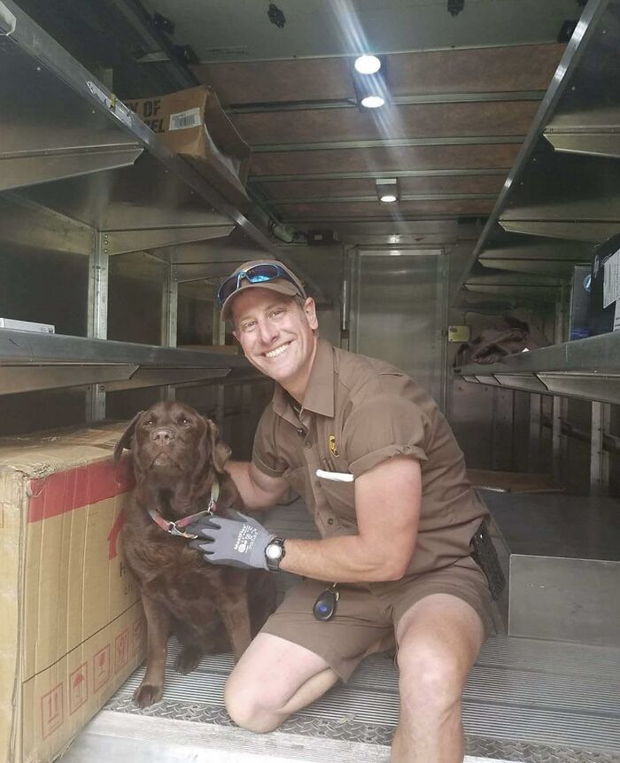 UPS driver kneeling inside delivery truck, smiling and petting a chocolate Labrador, showcasing adorable pets and UPS drivers.