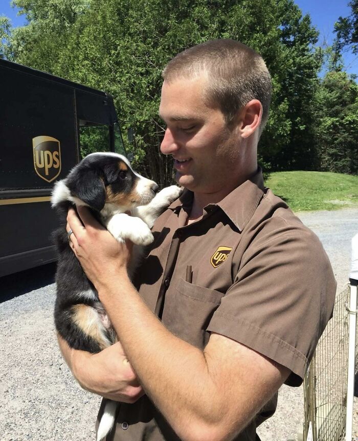UPS driver holding an adorable puppy outside a UPS truck, sharing a heartwarming moment with a pet.