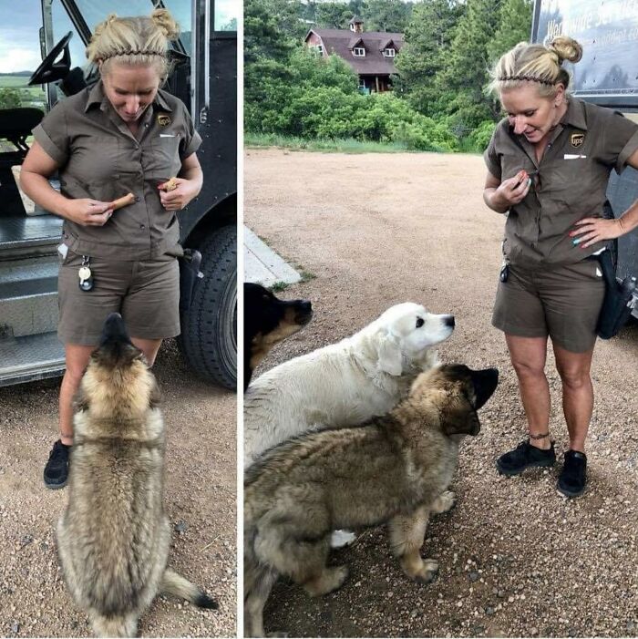 UPS driver in uniform interacting with three adorable pets outside a delivery truck on a rural dirt road.