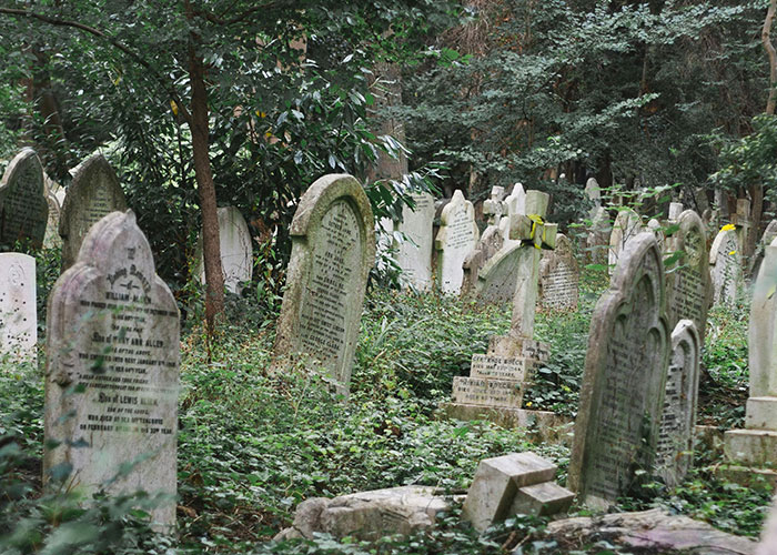 Overgrown cemetery with old, weathered tombstones surrounded by dense trees, evoking terrifying true stories atmosphere.