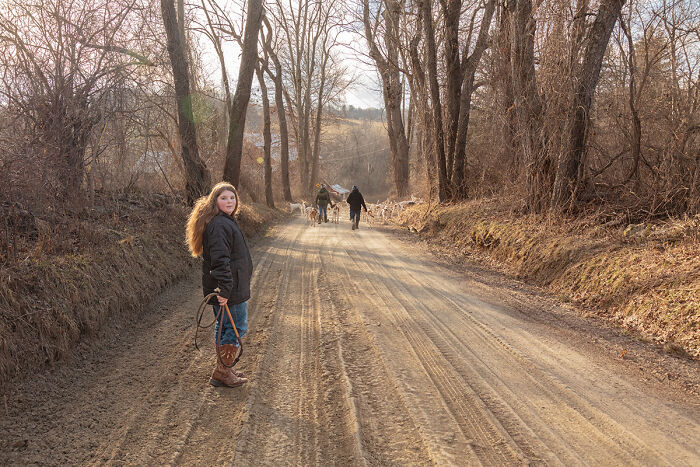 Training The Hounds By Susan Anthony