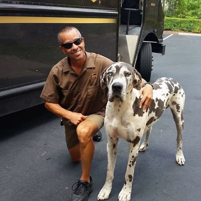 UPS driver in uniform kneeling beside a large spotted dog, smiling in front of a UPS delivery truck outdoors.
