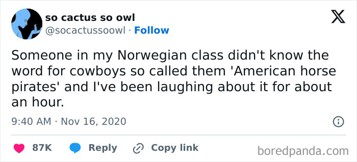 Text post about a student calling cowboys American horse pirates, showing funny student and young adult life moments.