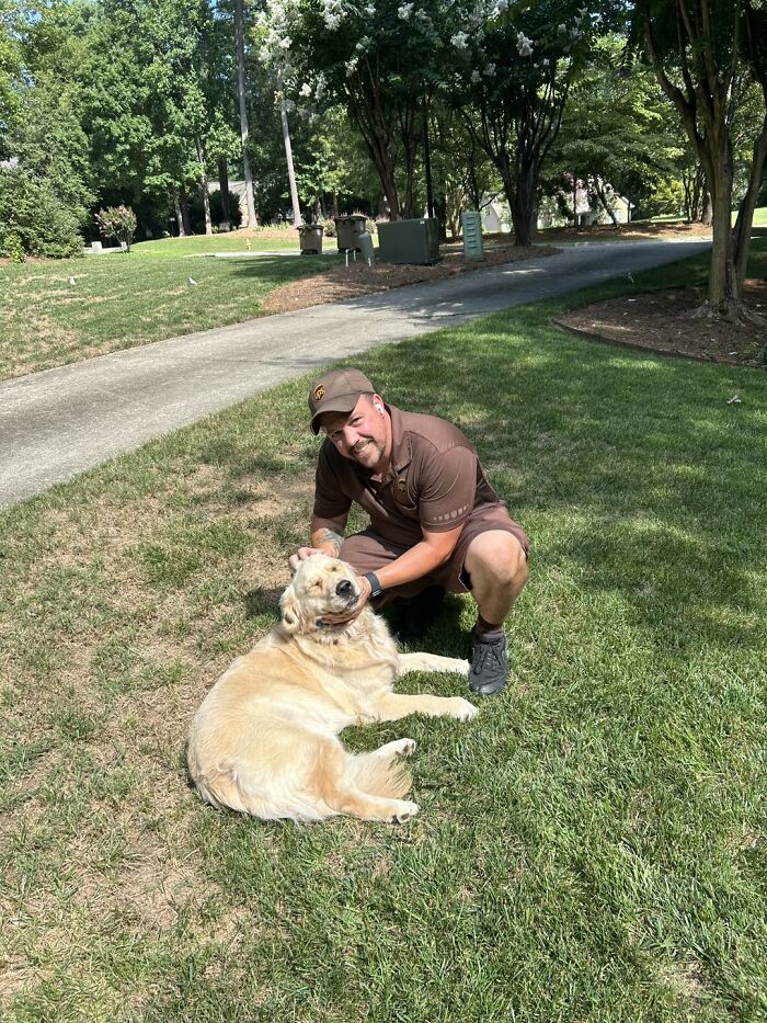 UPS driver in uniform crouching on grass, happily petting a large golden retriever dog on a sunny day outdoors.
