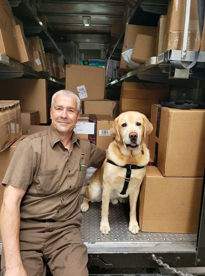 UPS driver smiling with an adorable dog inside a delivery truck surrounded by packages during a pet encounter.