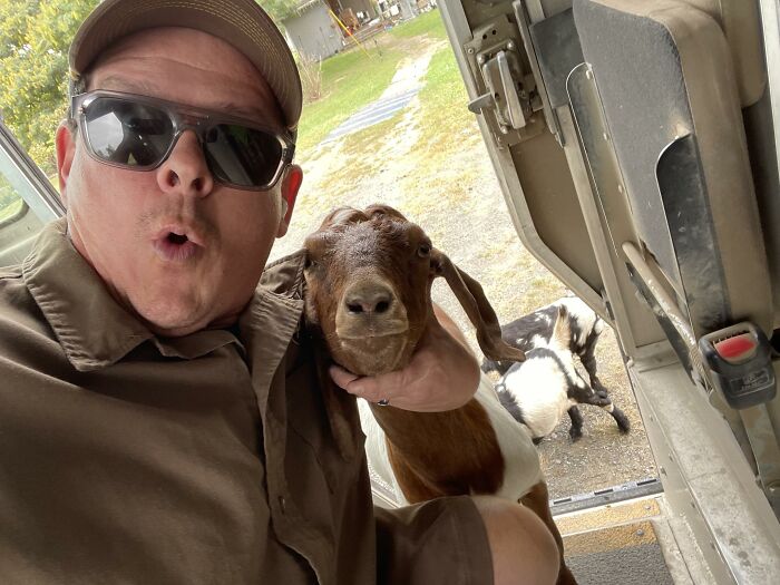 UPS driver wearing sunglasses taking a selfie with an adorable brown and white goat during delivery stop.