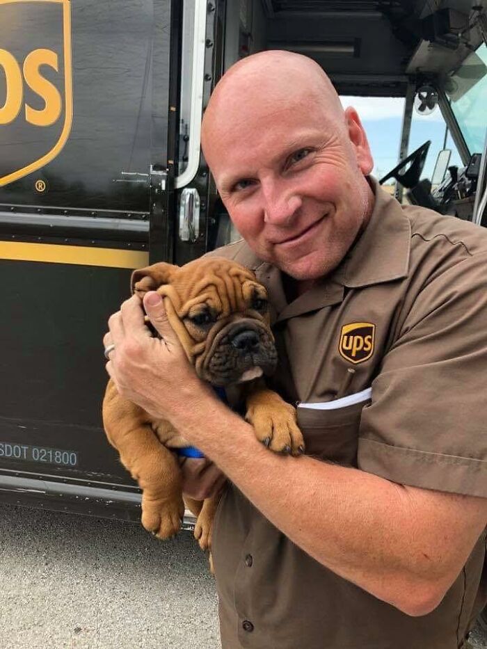UPS driver in uniform smiling and holding an adorable wrinkled puppy near a UPS delivery truck outdoors.