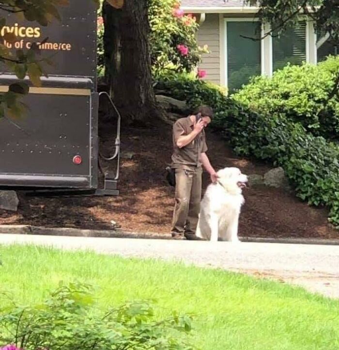 UPS driver petting a large white dog beside a UPS truck in a residential neighborhood with greenery and a house in the background