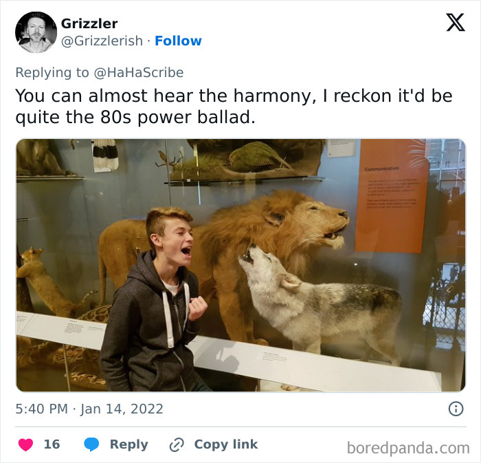 Young man at a museum imitates taxidermy animals, perfectly capturing the life imitating art moment with expression and pose.