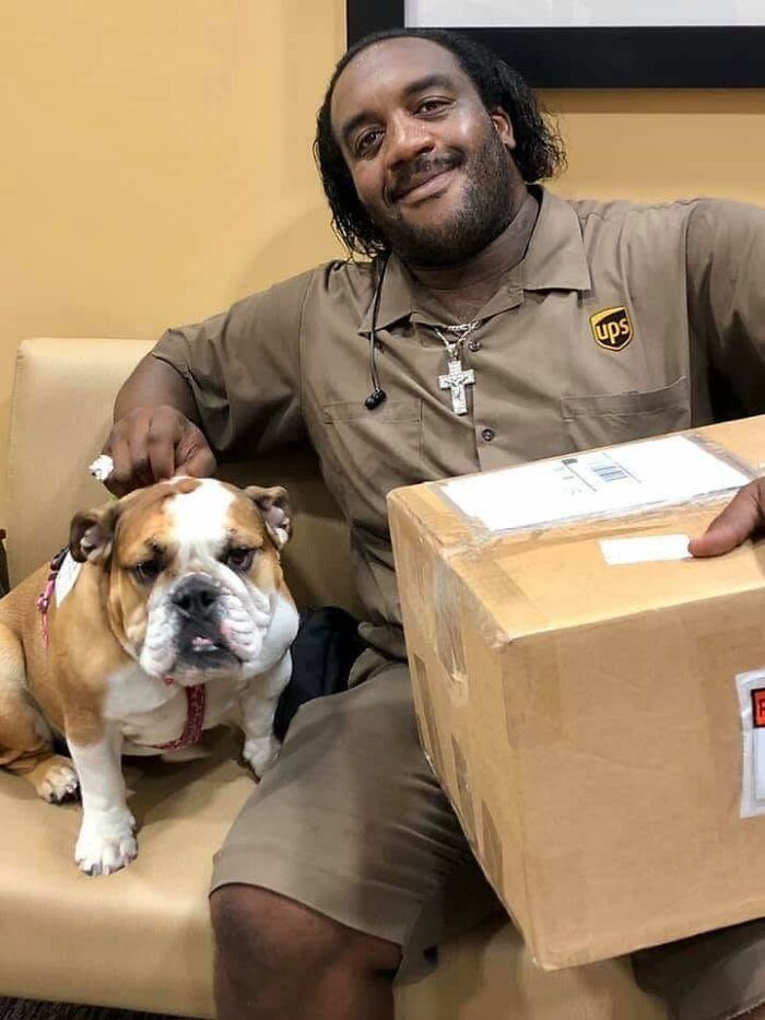 UPS driver sitting with an adorable bulldog pet while holding a large package inside a building.