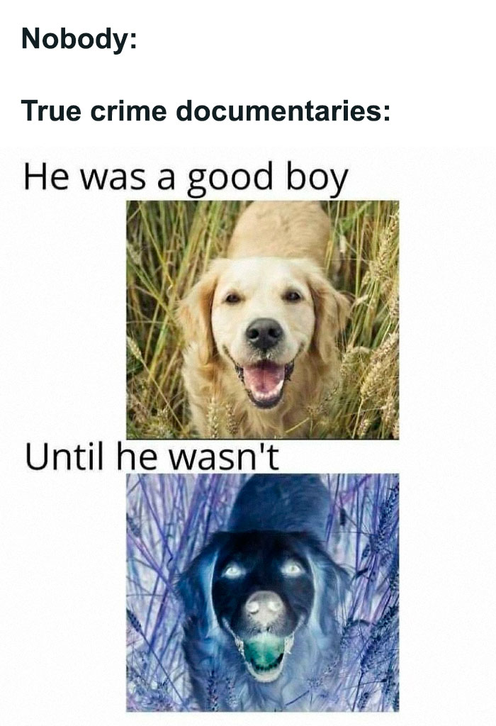Meme with two dog photos illustrating true crime documentaries and a twist, related to true crime humor and memes.