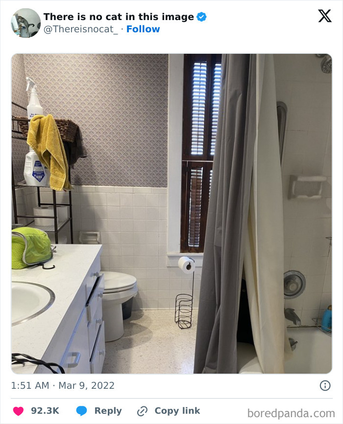Bathroom scene with a cat camouflaged against tiles and shadows, showcasing seamless cat background merging.