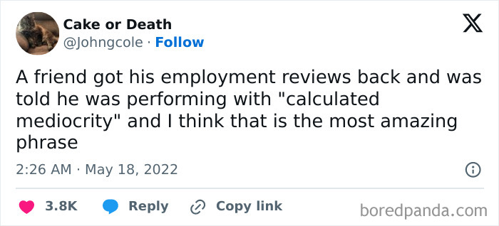 Screenshot of a tweet describing a frustrating employment review, illustrating parts of working in 2025 that are a nightmare.
