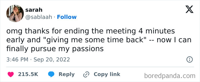 Tweet showing a funny millennial corporate life post thanking for an early meeting end and time to pursue passions.