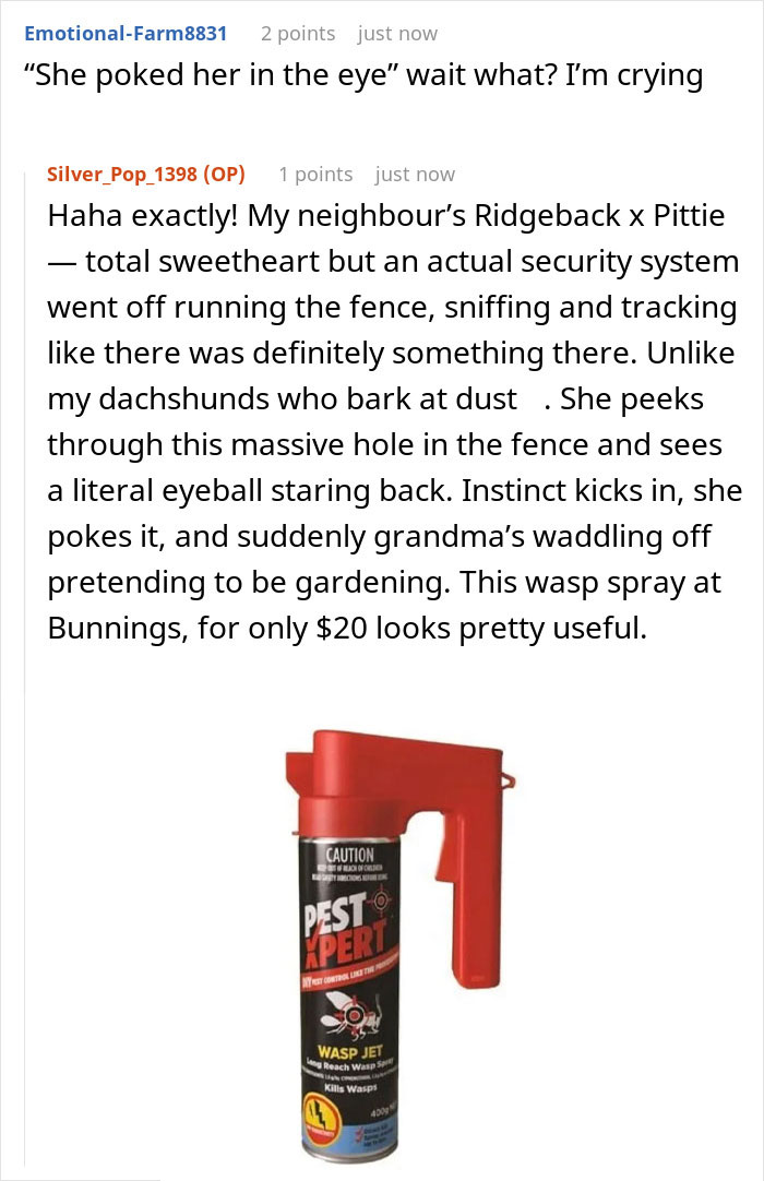 Red and black Pest Xpert wasp jet can with spray nozzle used for pest control and long reach wasp spraying.