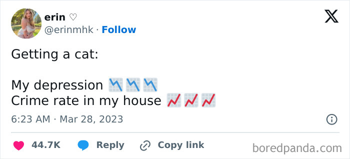 Tweet humorously showing that getting a cat decreases depression and increases crime rate in the house.