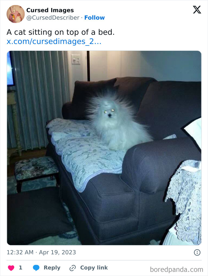 Small white dog with glowing eyes and spiky fur sitting on a dark couch in a dimly lit room disturbing picture